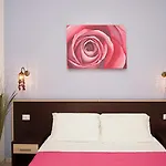 Flowerome 4*