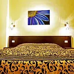 Flowerome 4* Rome